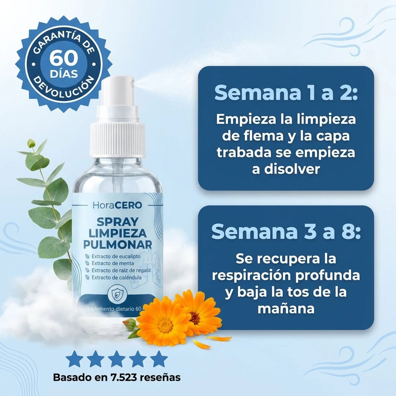Línea de tiempo HoraCero